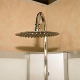 Pure left monsoon shower head