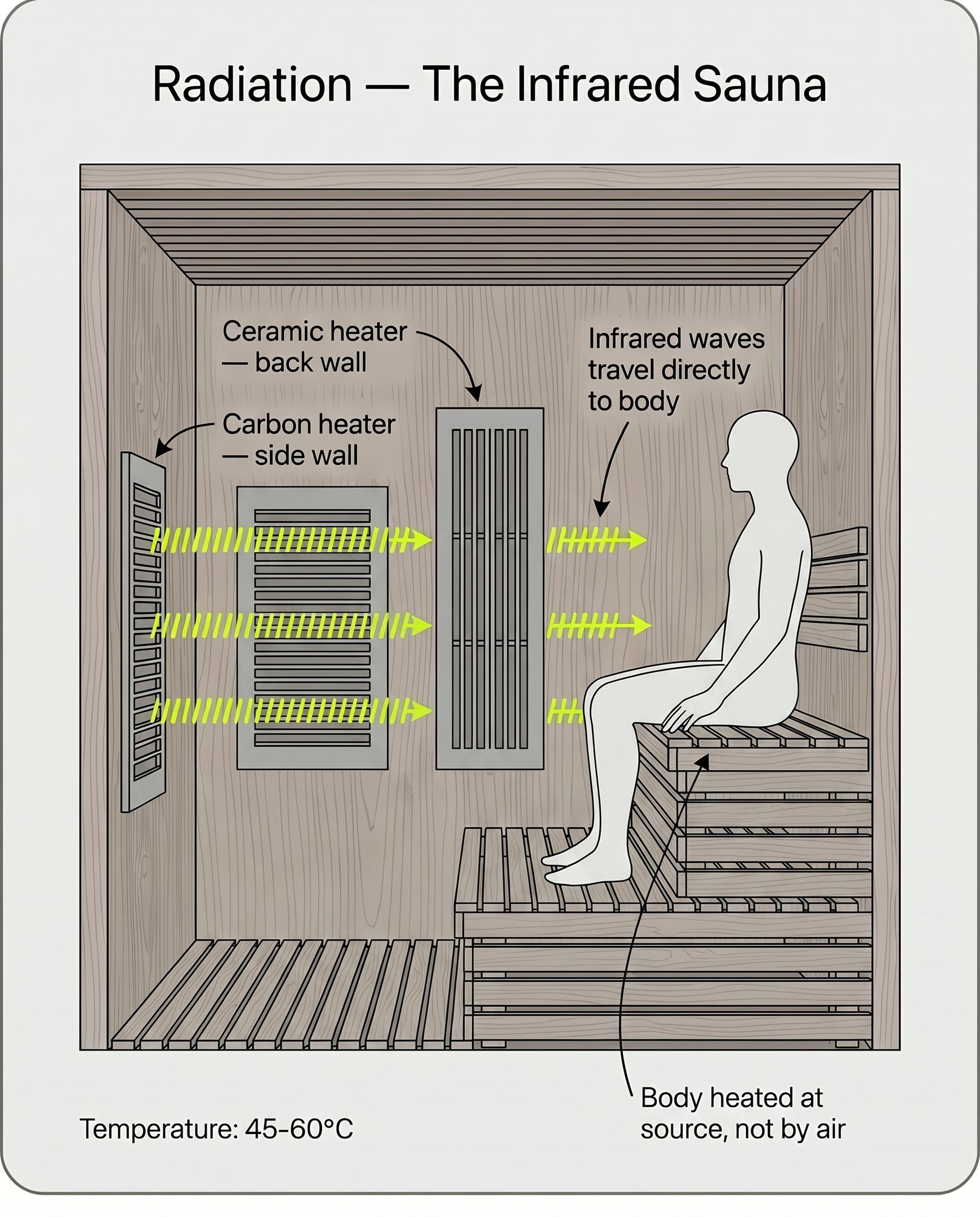 Cross-section diagram of an infrared sauna cabin showing radiation heat transfer — straight infrared waves emitting from a ceramic back-wall heater and carbon side-wall heaters, travelling directly through the air to reach the seated occupant. Operating temperature 45-60°C.